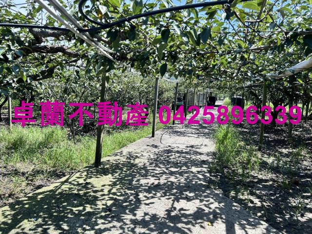 苗栗卓蘭農地-10