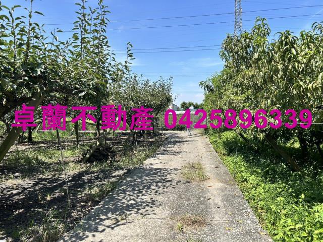 苗栗卓蘭農地-11