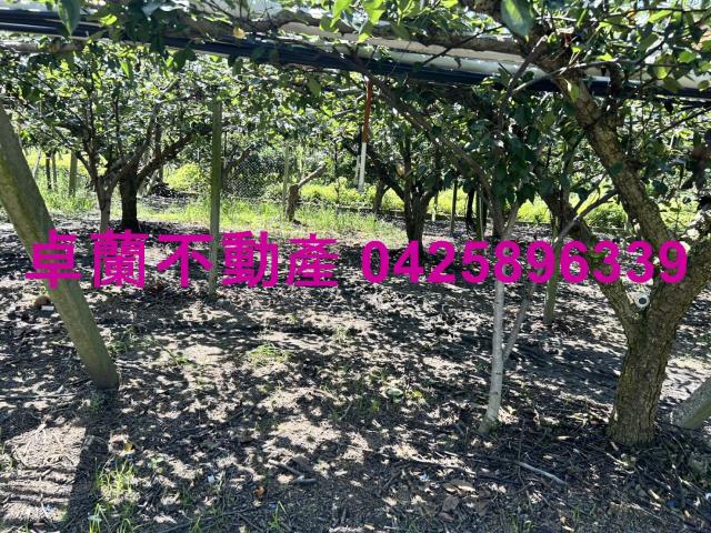 苗栗卓蘭農地-12