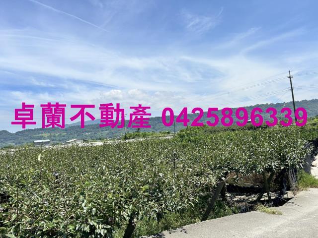 苗栗卓蘭農地-13