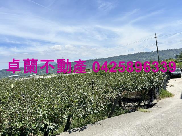 苗栗卓蘭農地-14
