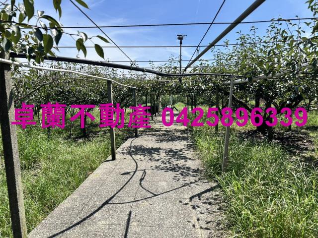 苗栗卓蘭農地-5