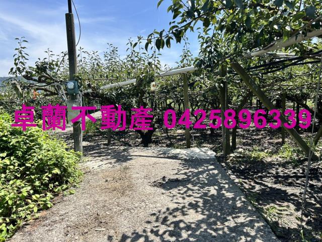 苗栗卓蘭農地-7