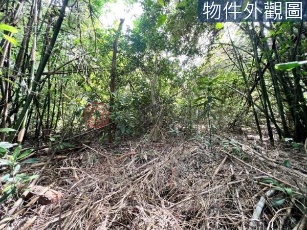 新竹農地-11