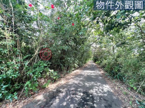 新竹農地-4
