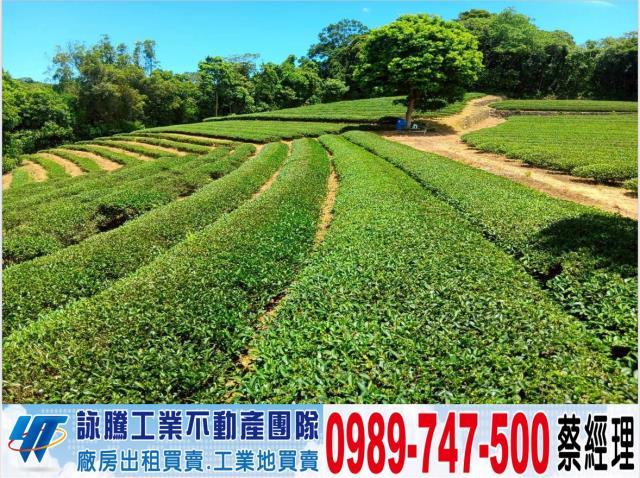 桃園龍潭農地-1