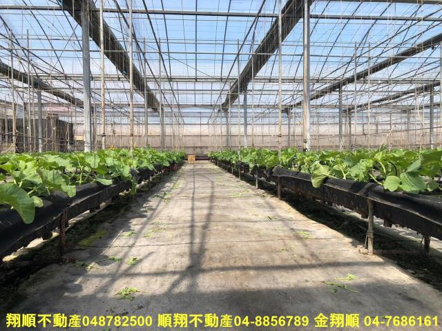 彰化埔鹽農地-3