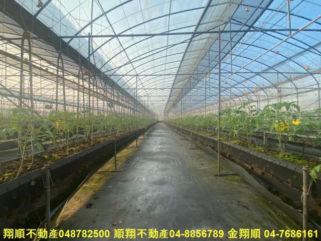 彰化埔鹽農地-6