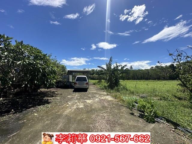 旗山農地-3