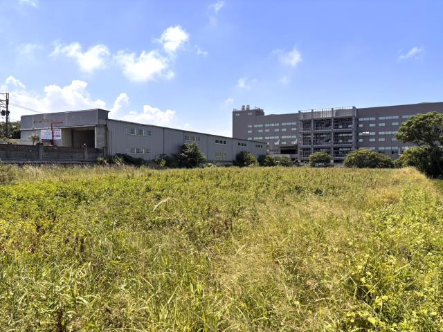 新豐農地-2