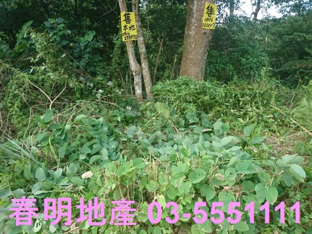 新竹農地-3