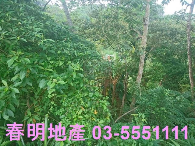 新竹農地-5