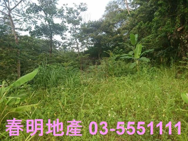 新竹農地-9