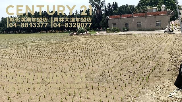 埔鹽農地-1