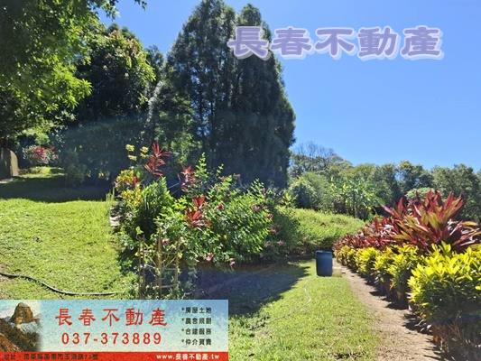 苗栗造橋農地-12