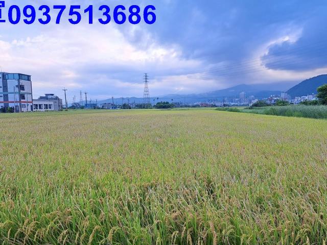 宜蘭農地-8
