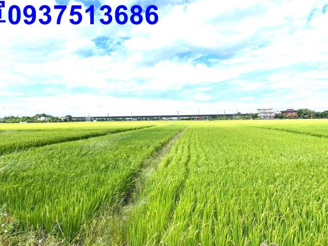 宜蘭農地-11