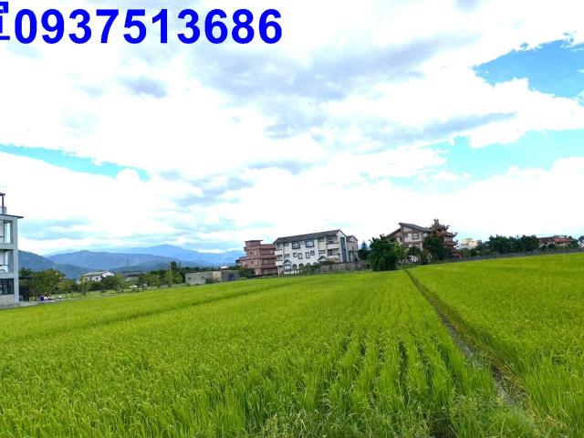 宜蘭農地-2