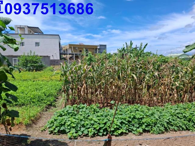 宜蘭農地-1