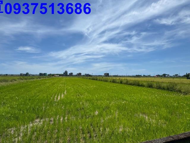 宜蘭農地-7