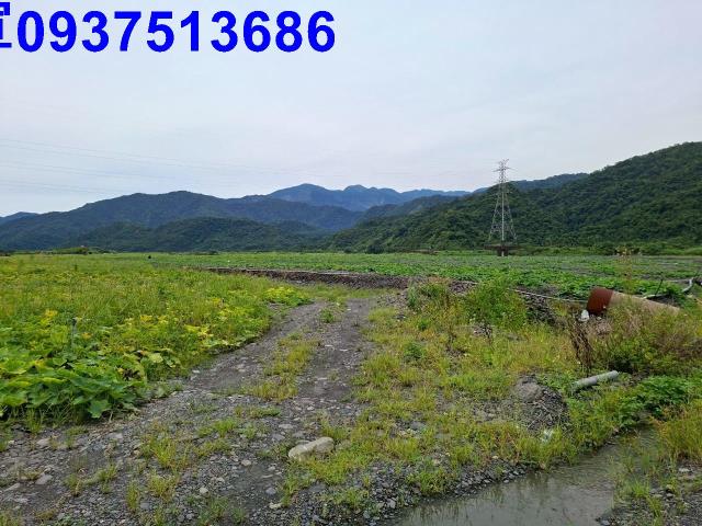 宜蘭農地-8