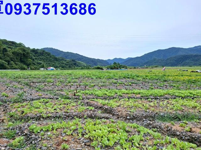 宜蘭農地-1