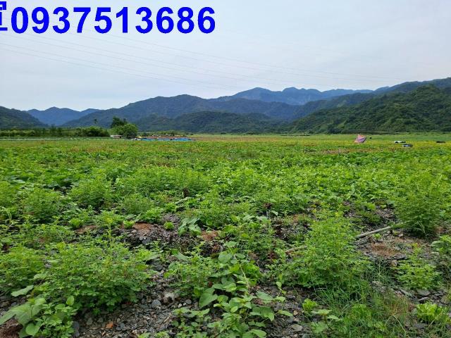 宜蘭農地-9