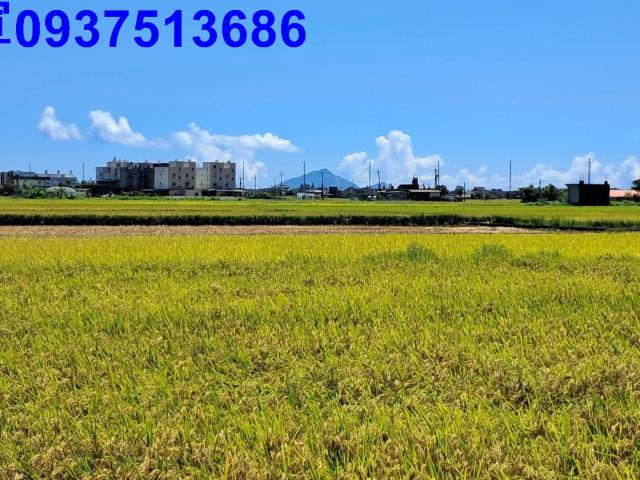 宜蘭壯圍農地-1