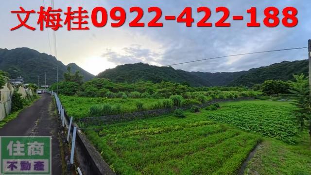 宜蘭員山農地-2