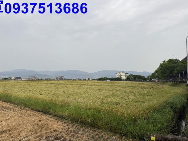 宜蘭壯圍農地-6