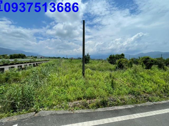 宜蘭宜蘭市公園用地-10