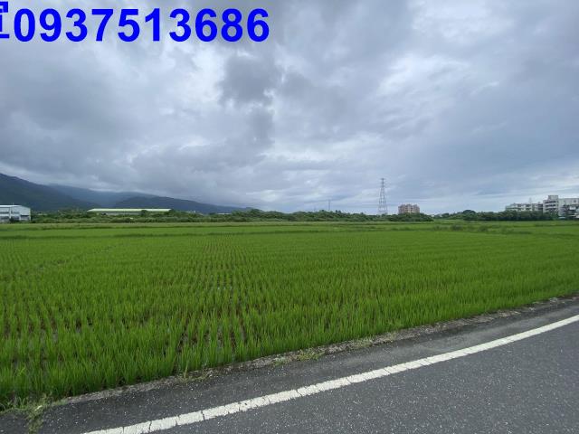 宜蘭頭城農地-6