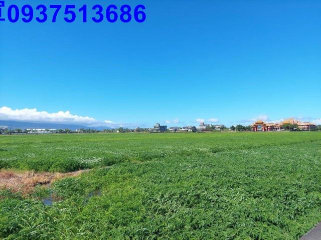 宜蘭壯圍農地-6