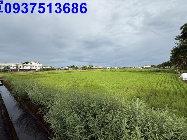 員山農地-8