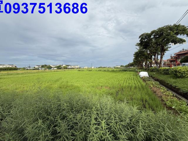 員山農地-9