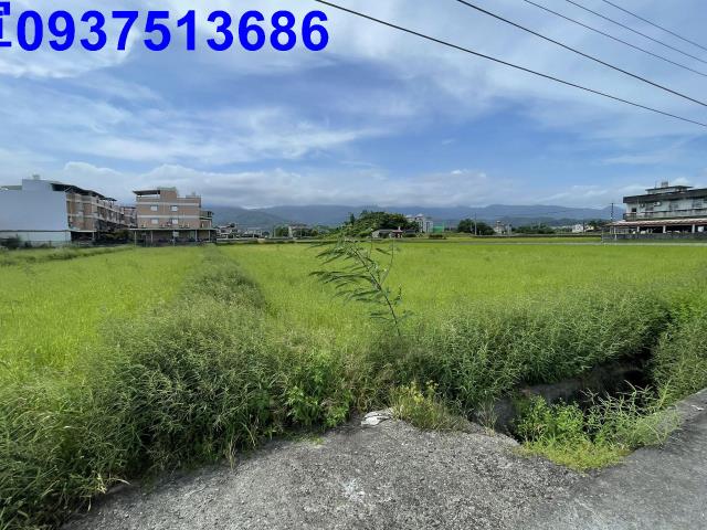 宜蘭市農地-10