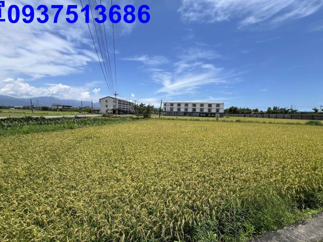 宜蘭市農地-7