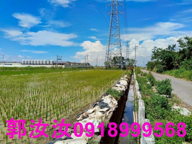 台南柳營農地-10
