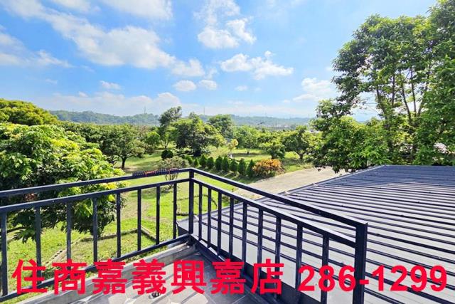 竹崎農地-6