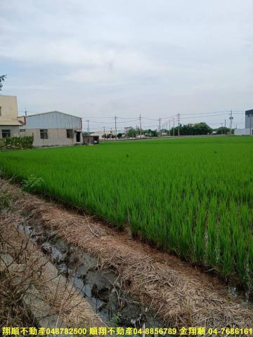 彰化建地-3