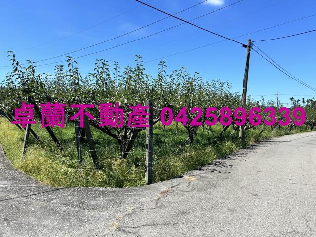 苗栗卓蘭農地-6
