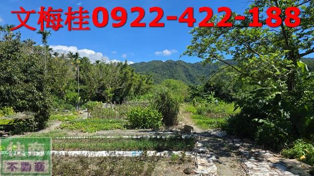 宜蘭員山農地-2