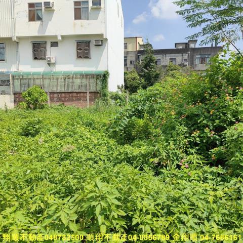 彰化田尾建地-4