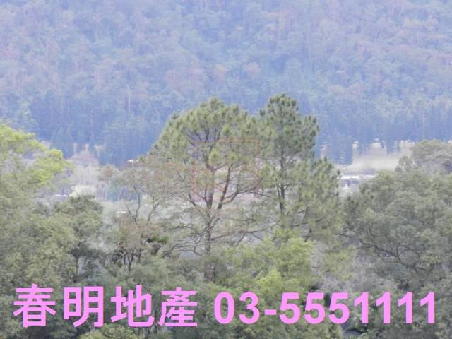 新竹農地-10