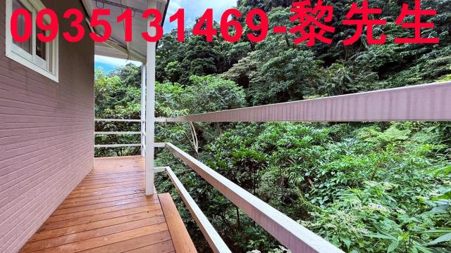 苗栗南庄林地-11