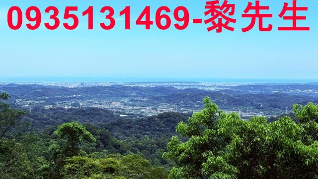 苗栗南庄林地-13