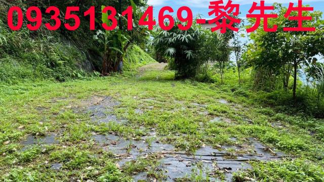 苗栗南庄林地-14
