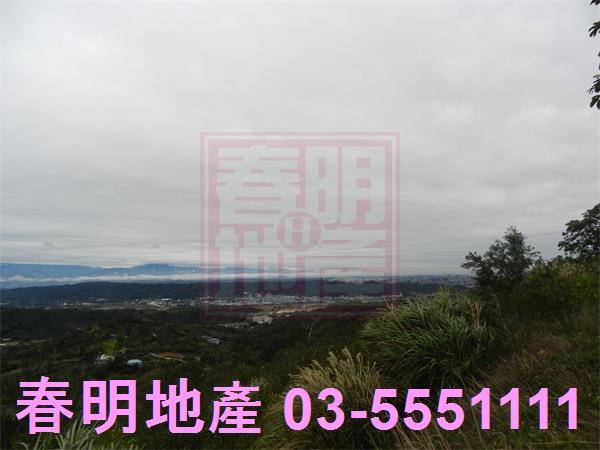 新埔農地-4