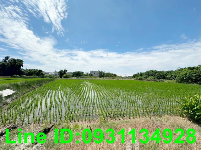 台中后里農地-1