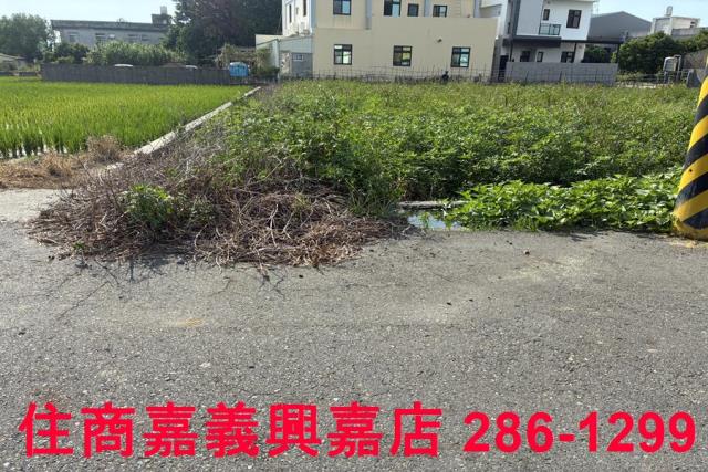 鹿港農地-9